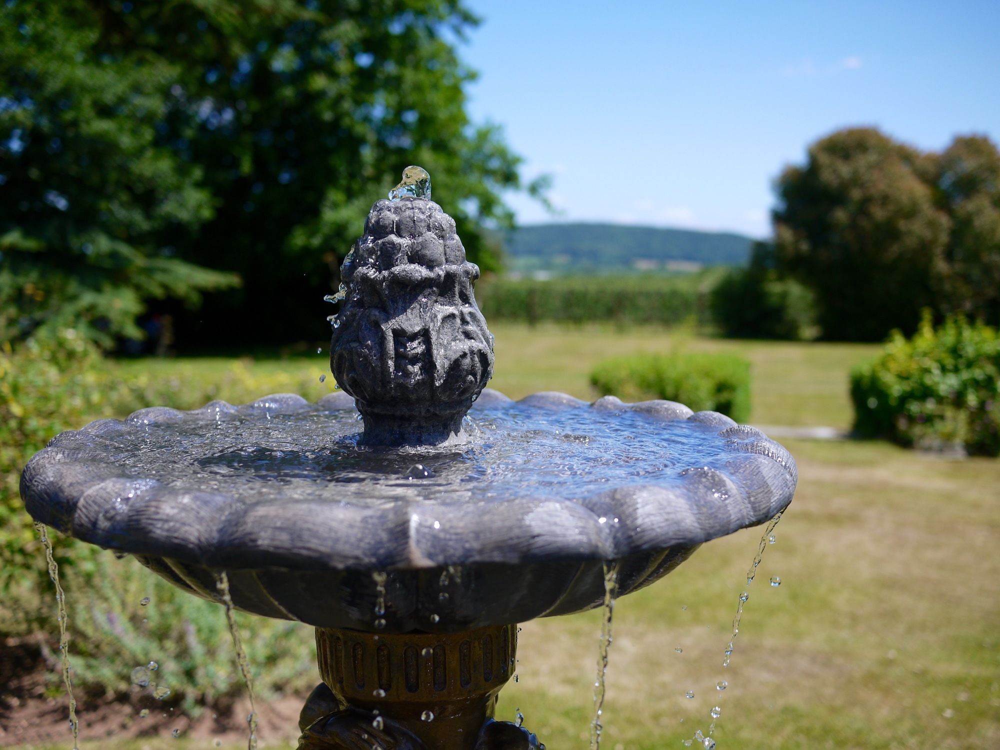 Glewstone Court Country House Hotel Ross-on-Wye Dış mekan fotoğraf